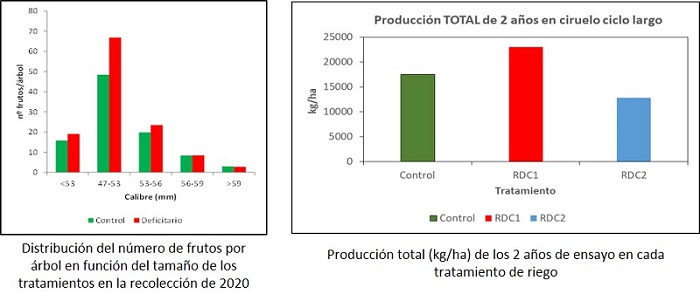 Producci%C3%B3n%20ciruelo